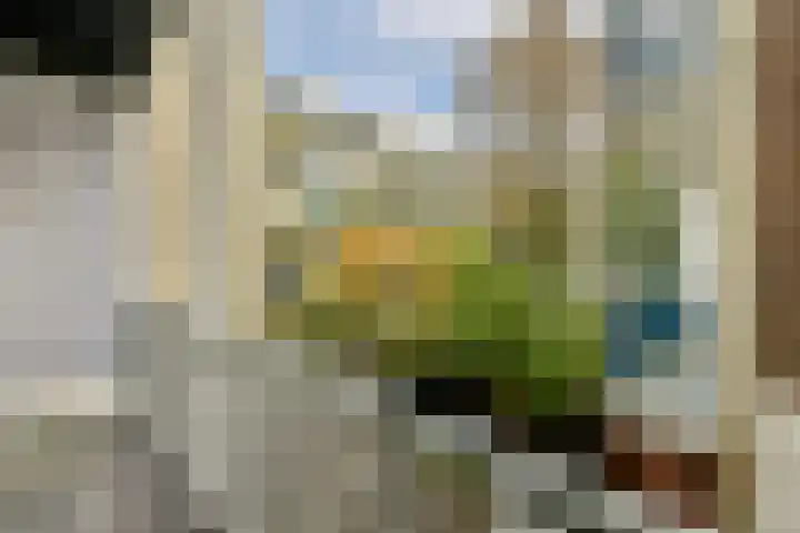 Groen van Prinstererstraat 69 2 Amsterdam thumbnail 14