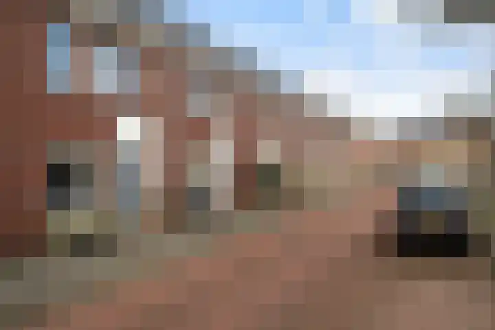 Groen van Prinstererstraat 7 Alphen aan den Rijn thumbnail 12