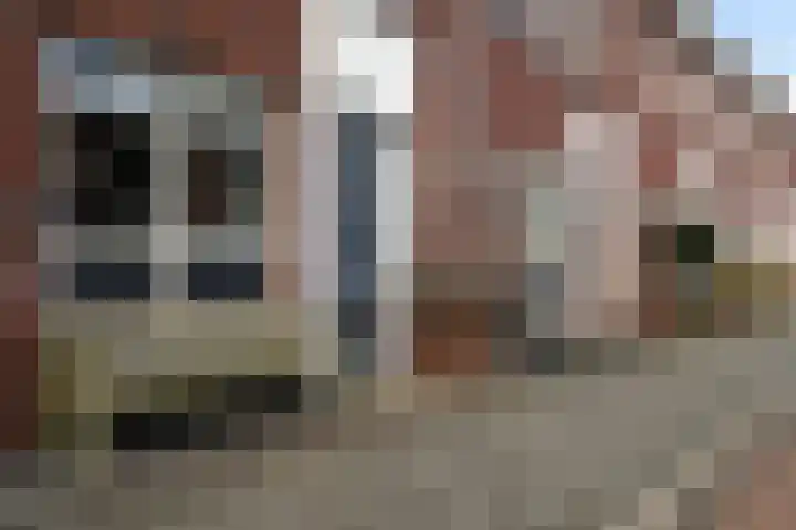 Groen van Prinstererstraat 7 Alphen aan den Rijn thumbnail 13