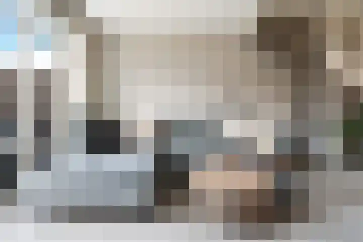 Groen van Prinstererstraat 7 Alphen aan den Rijn thumbnail 22