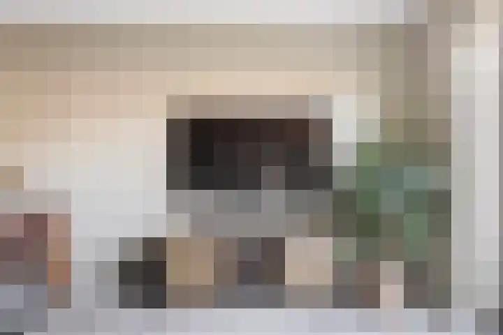 Groen van Prinstererstraat 7 Alphen aan den Rijn thumbnail 24