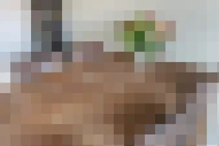 Groen van Prinstererstraat 7 Alphen aan den Rijn thumbnail 26