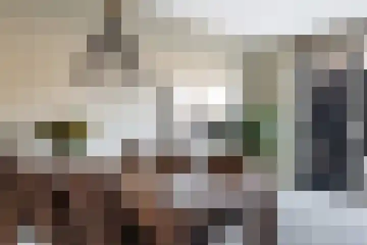 Groen van Prinstererstraat 7 Alphen aan den Rijn thumbnail 27