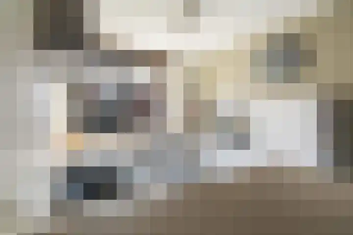 Groen van Prinstererstraat 7 Alphen aan den Rijn thumbnail 31