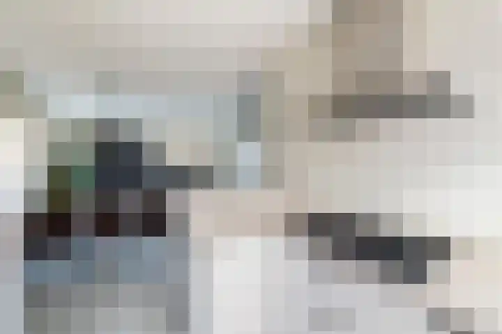 Groen van Prinstererstraat 7 Alphen aan den Rijn thumbnail 32