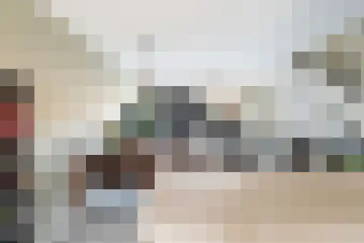 Groen van Prinstererstraat 7 Alphen aan den Rijn thumbnail 35
