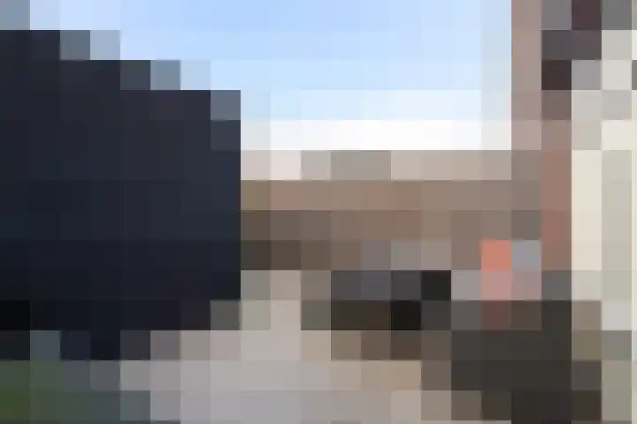 Groen van Prinstererstraat 7 Alphen aan den Rijn thumbnail 38