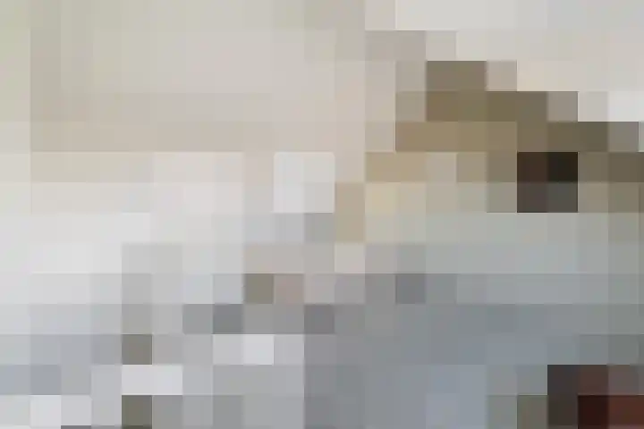 Groen van Prinstererstraat 7 Alphen aan den Rijn thumbnail 4