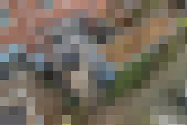 Groen van Prinstererstraat 7 Alphen aan den Rijn thumbnail 43