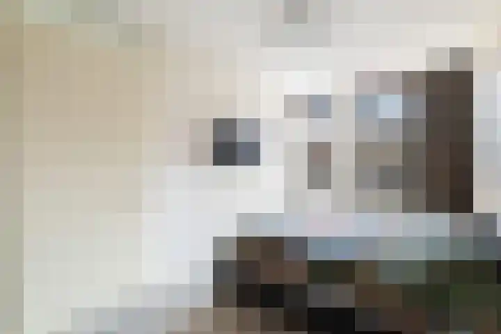 Groen van Prinstererstraat 7 Alphen aan den Rijn thumbnail 46