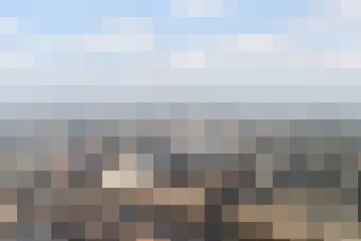 Groen van Prinstererstraat 7 Alphen aan den Rijn thumbnail 5