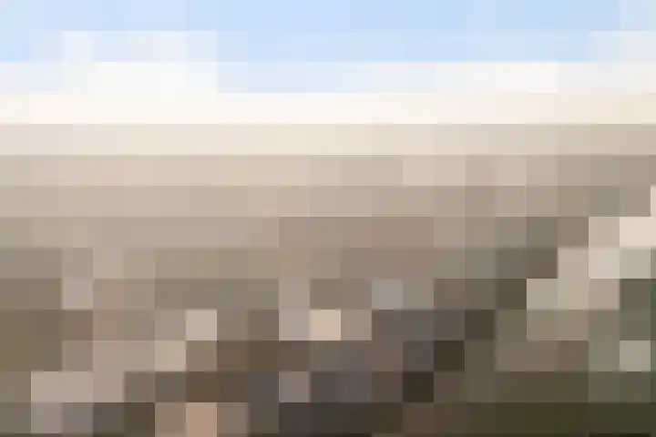 Groen van Prinstererstraat 7 Alphen aan den Rijn thumbnail 6