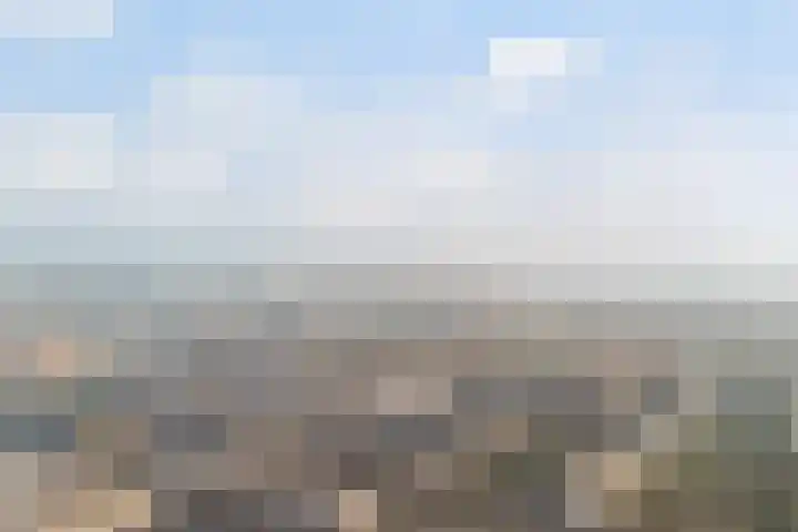 Groen van Prinstererstraat 7 Alphen aan den Rijn thumbnail 64