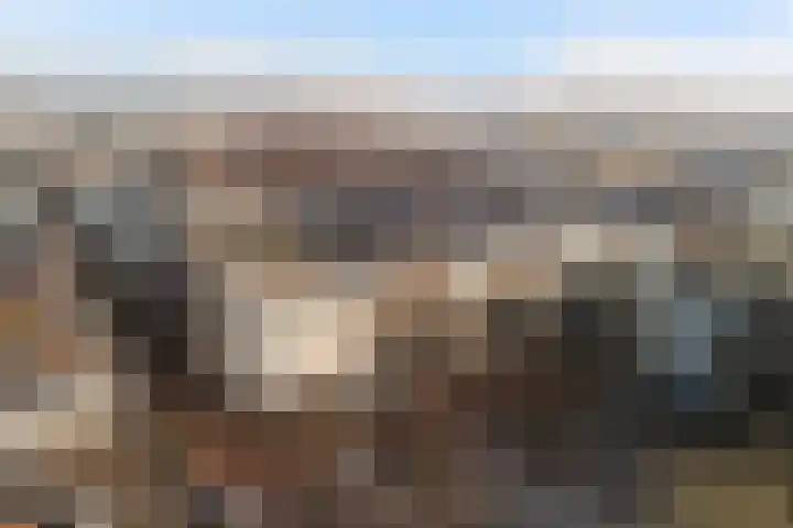 Groen van Prinstererstraat 7 Alphen aan den Rijn thumbnail 7