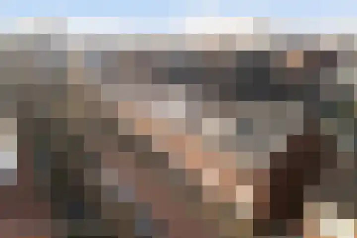 Groen van Prinstererstraat 7 Alphen aan den Rijn thumbnail 8