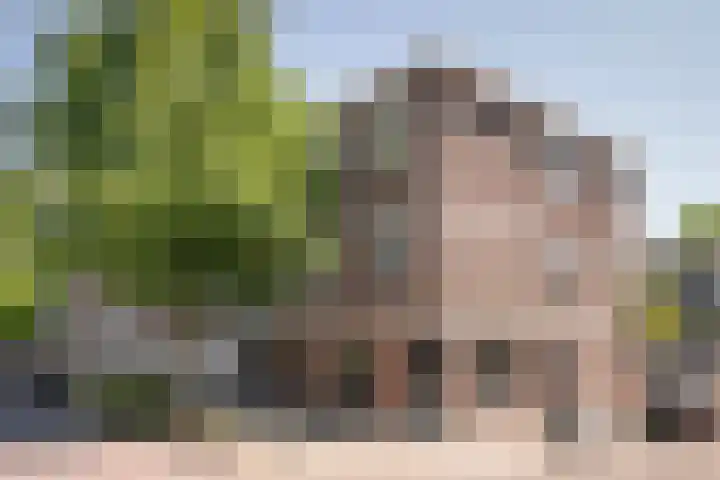 Groen van Prinstererstraat 70 Vlaardingen