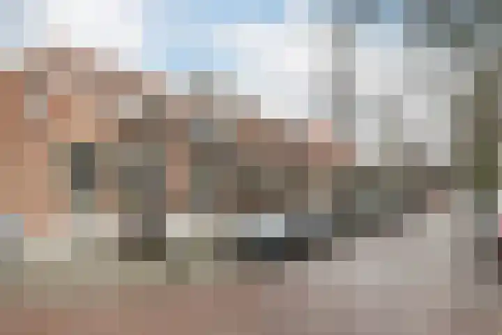 Groen van Prinstererstraat 71 Vlaardingen thumbnail 32