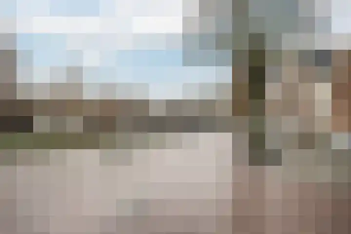 Groen van Prinstererstraat 71 Vlaardingen thumbnail 33