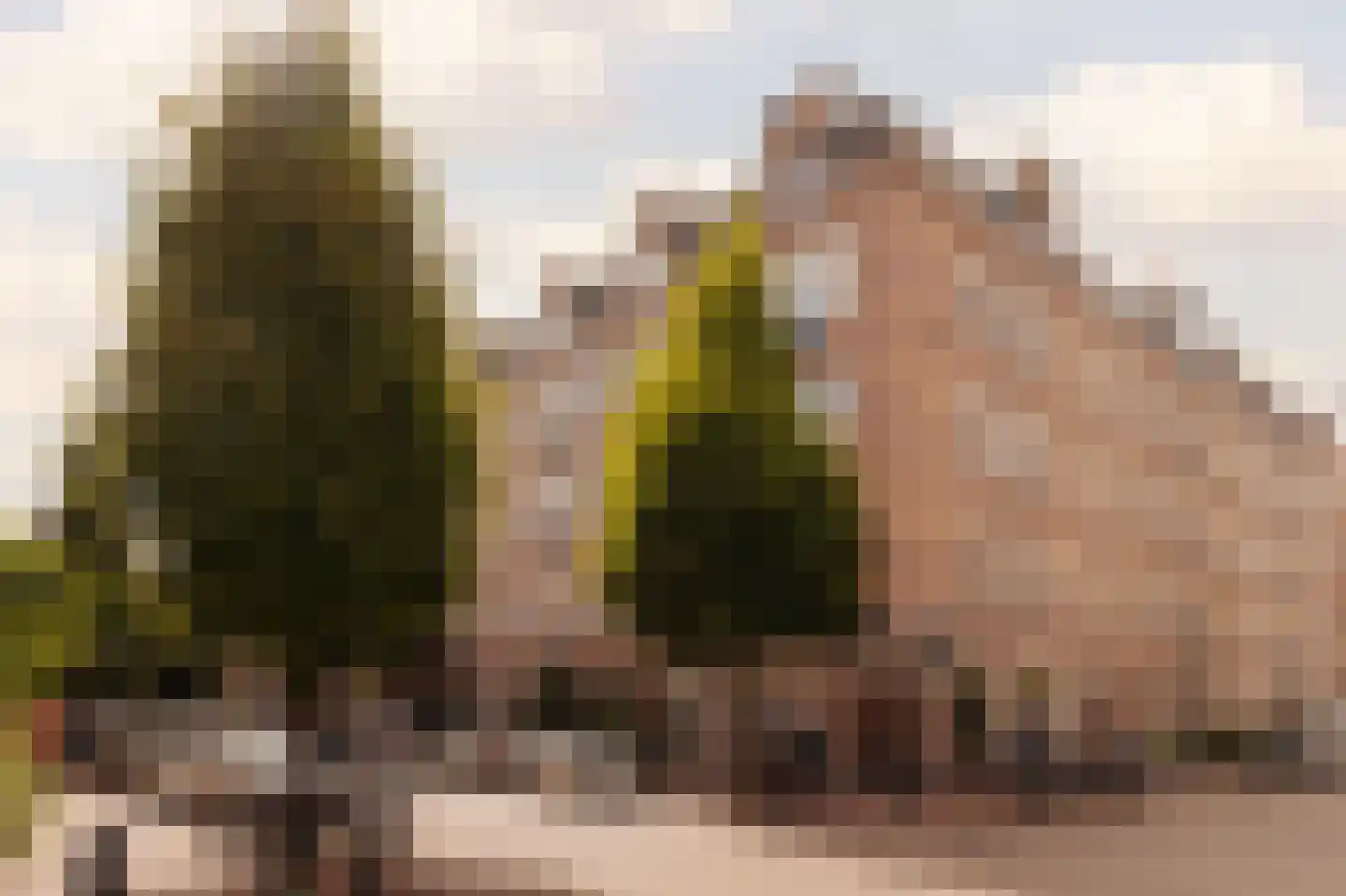 Groen van Prinstererstraat 78 H Amsterdam thumbnail 24