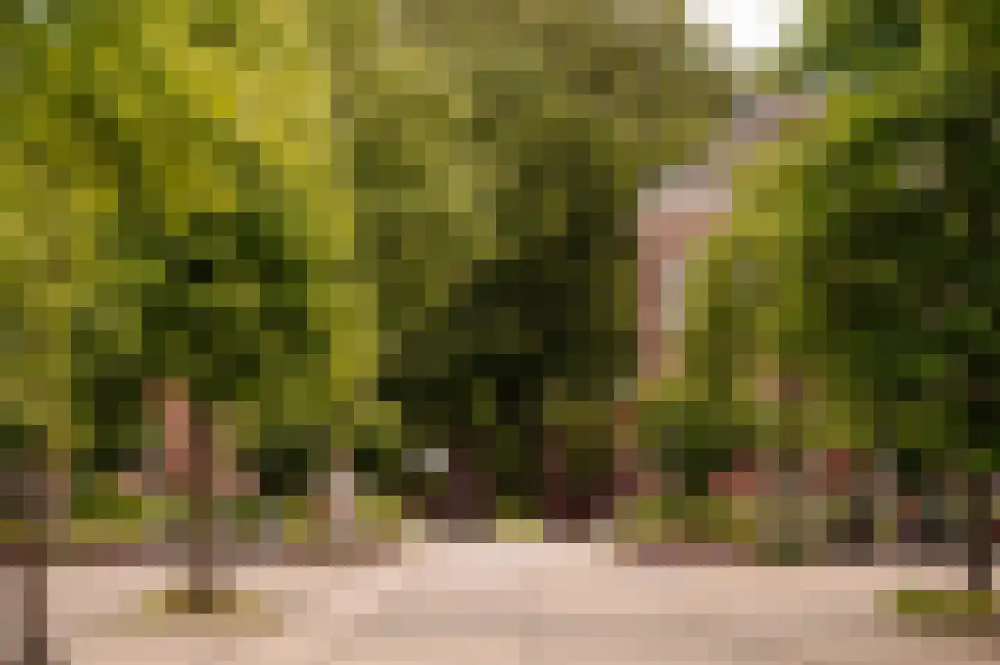 Groen van Prinstererstraat 78 H Amsterdam thumbnail 26