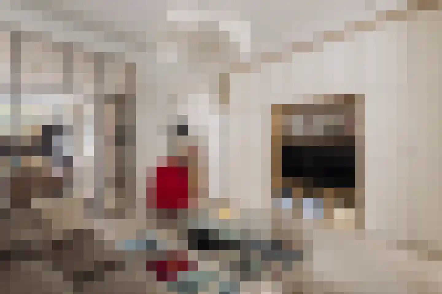 Groen van Prinstererstraat 78 H Amsterdam thumbnail 6