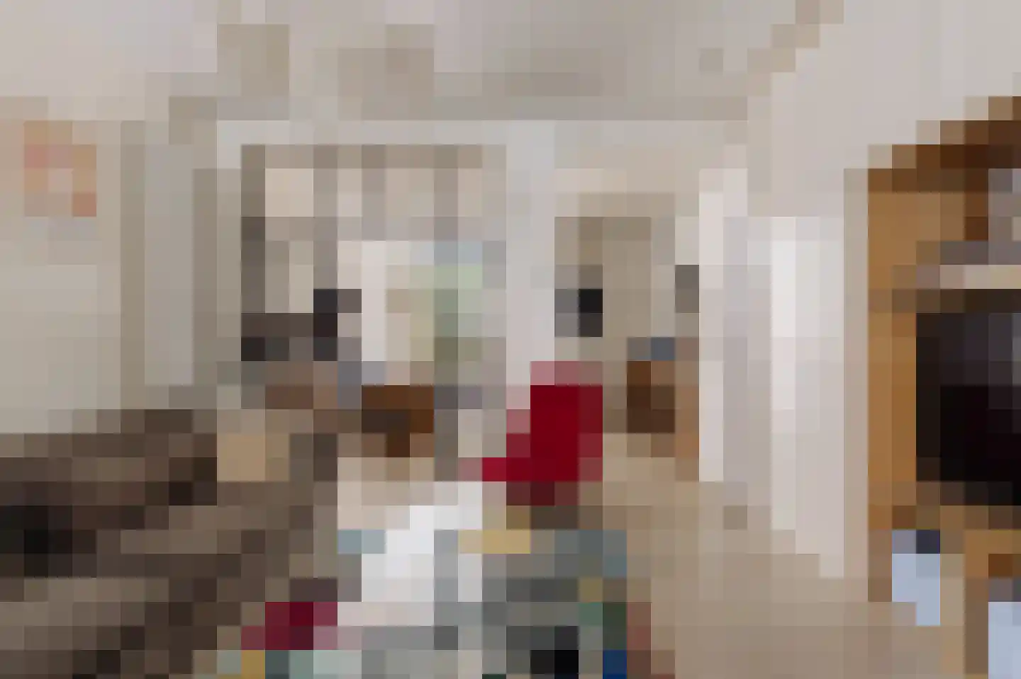 Groen van Prinstererstraat 78 H Amsterdam thumbnail 7
