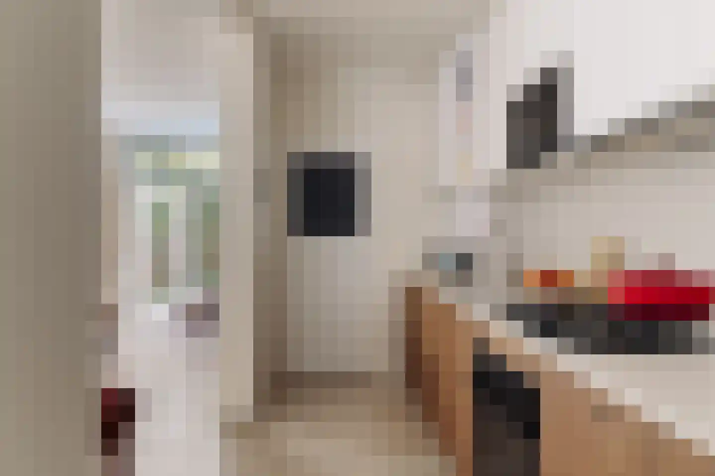 Groen van Prinstererstraat 78 H Amsterdam thumbnail 9