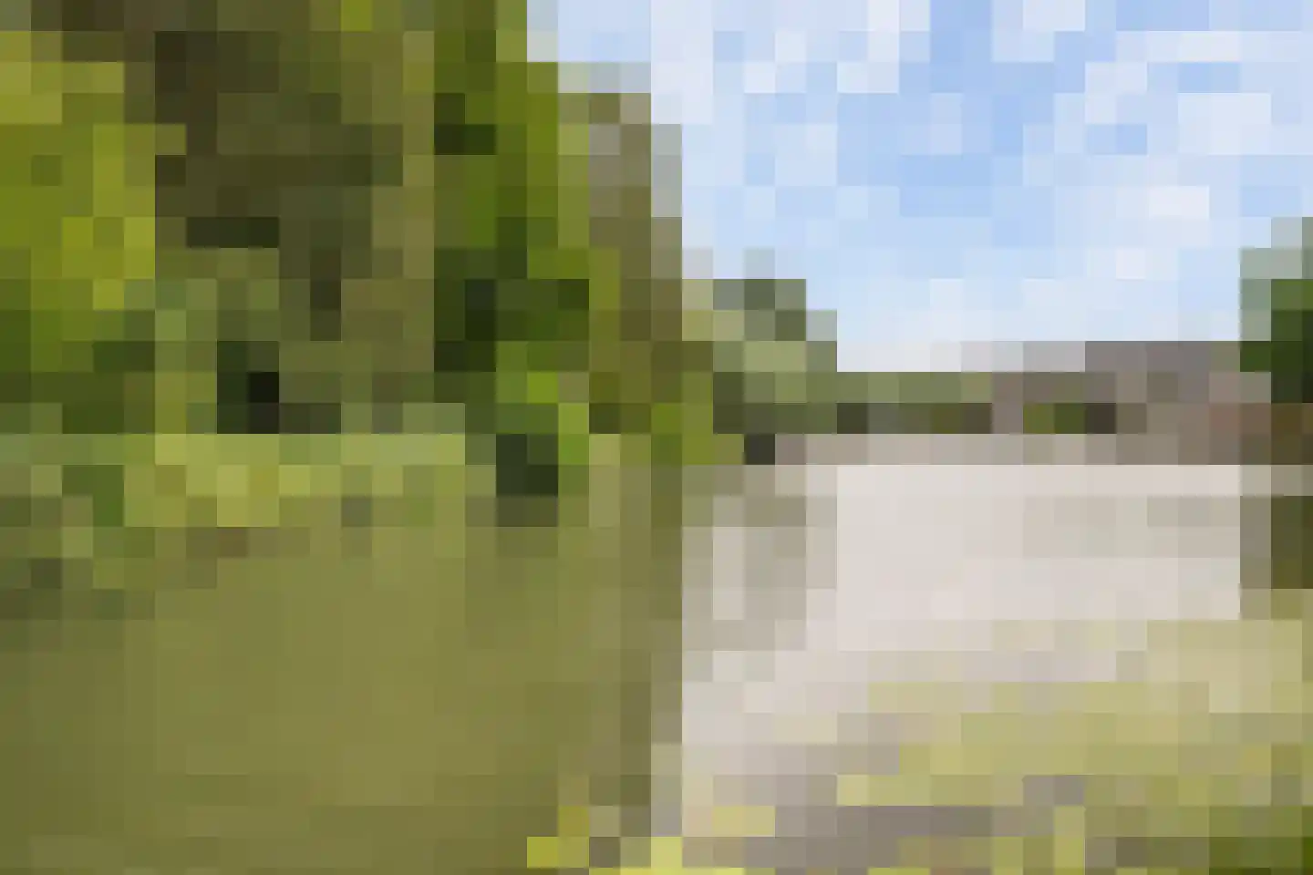 Groen van Prinstererstraat 8 Naaldwijk thumbnail 10