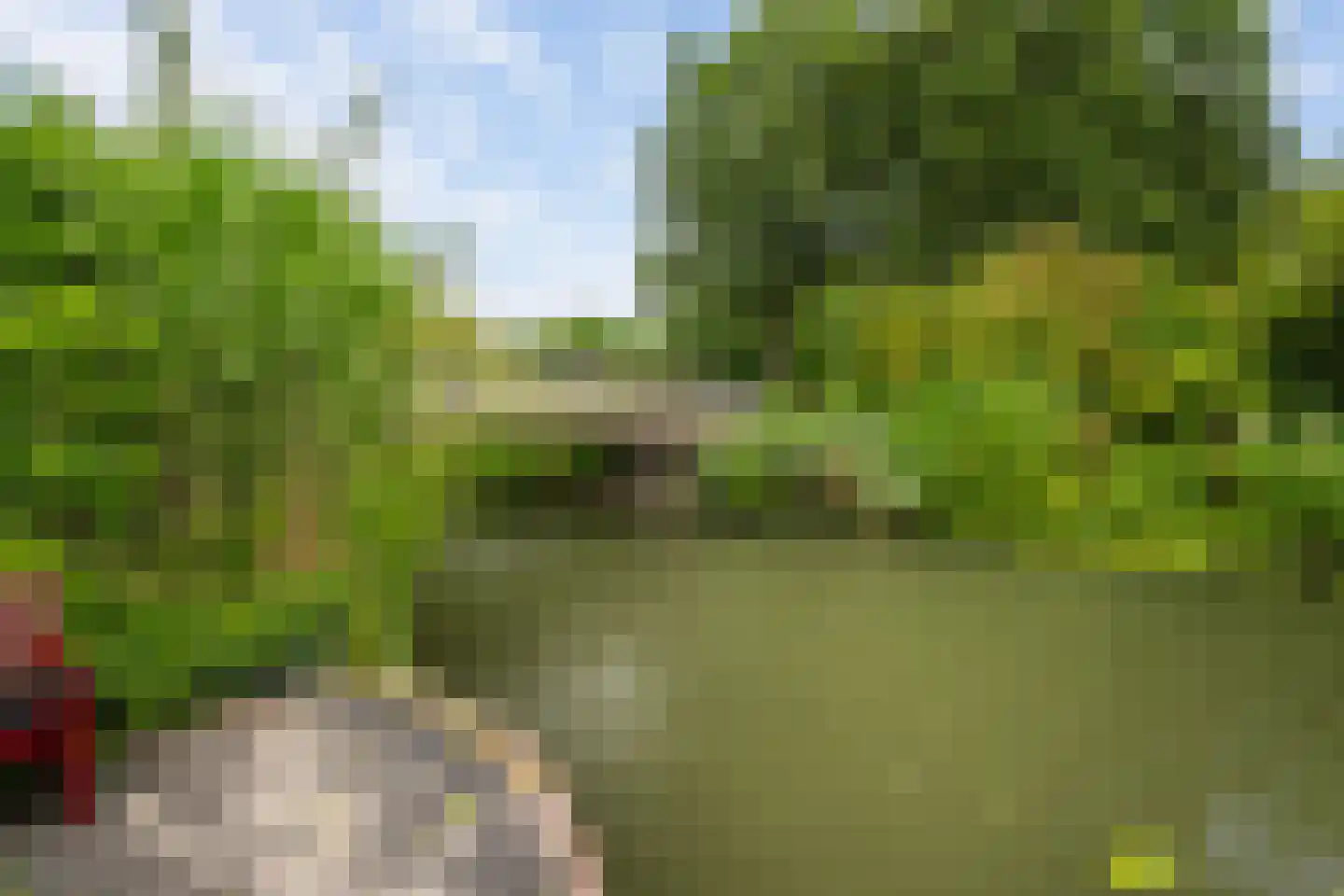 Groen van Prinstererstraat 8 Naaldwijk thumbnail 11