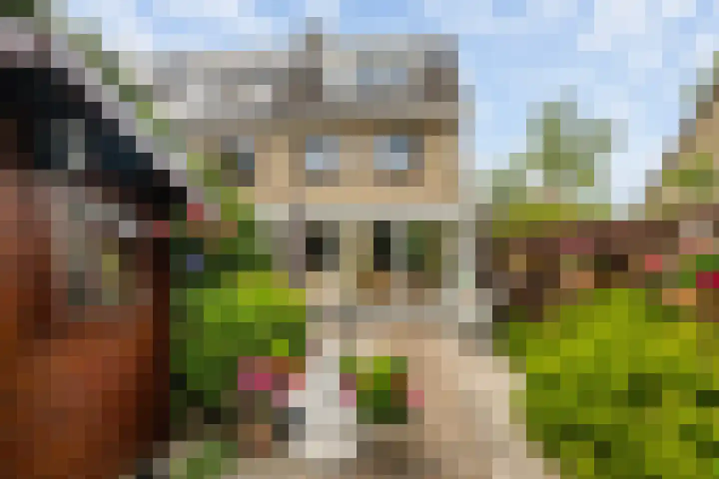 Groen van Prinstererstraat 8 Naaldwijk thumbnail 12