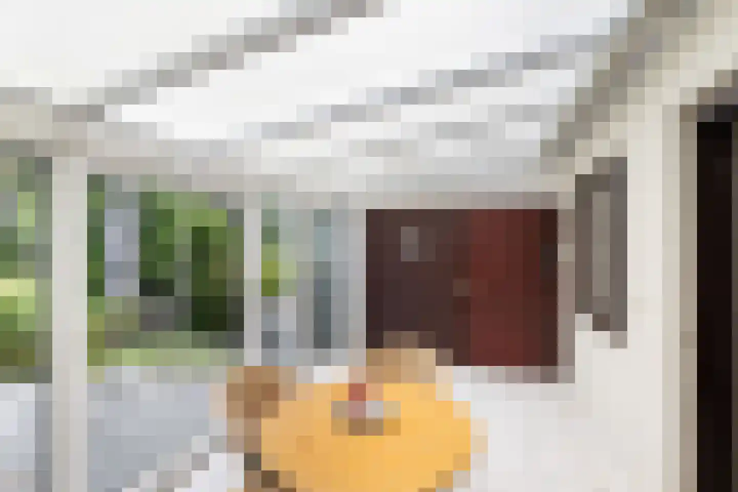 Groen van Prinstererstraat 8 Naaldwijk thumbnail 13