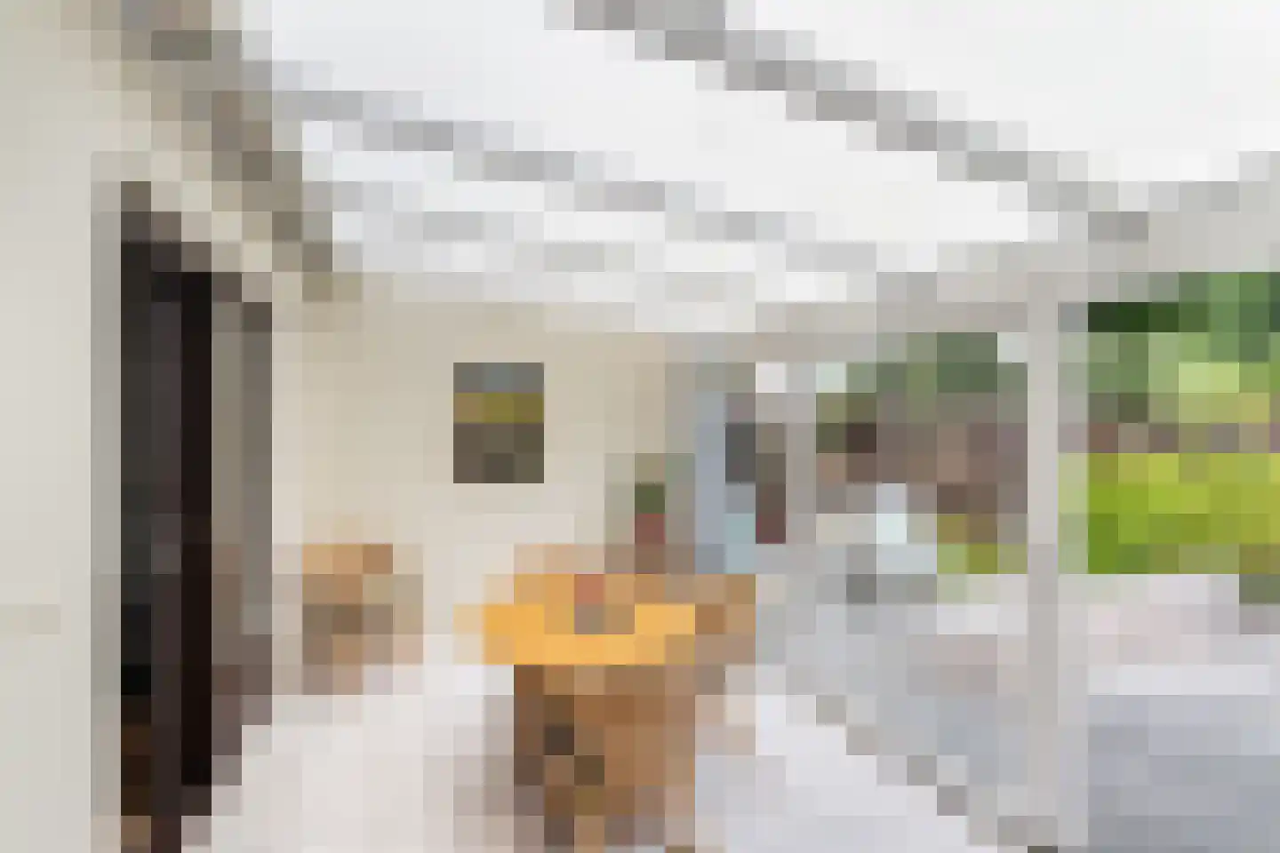 Groen van Prinstererstraat 8 Naaldwijk thumbnail 14