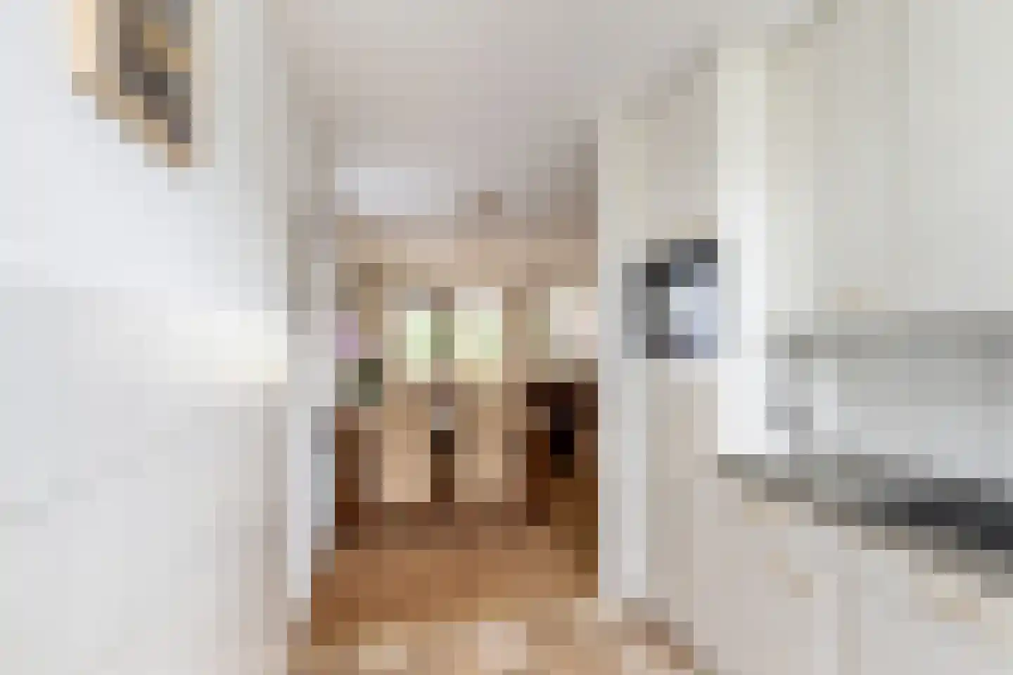 Groen van Prinstererstraat 8 Naaldwijk thumbnail 18