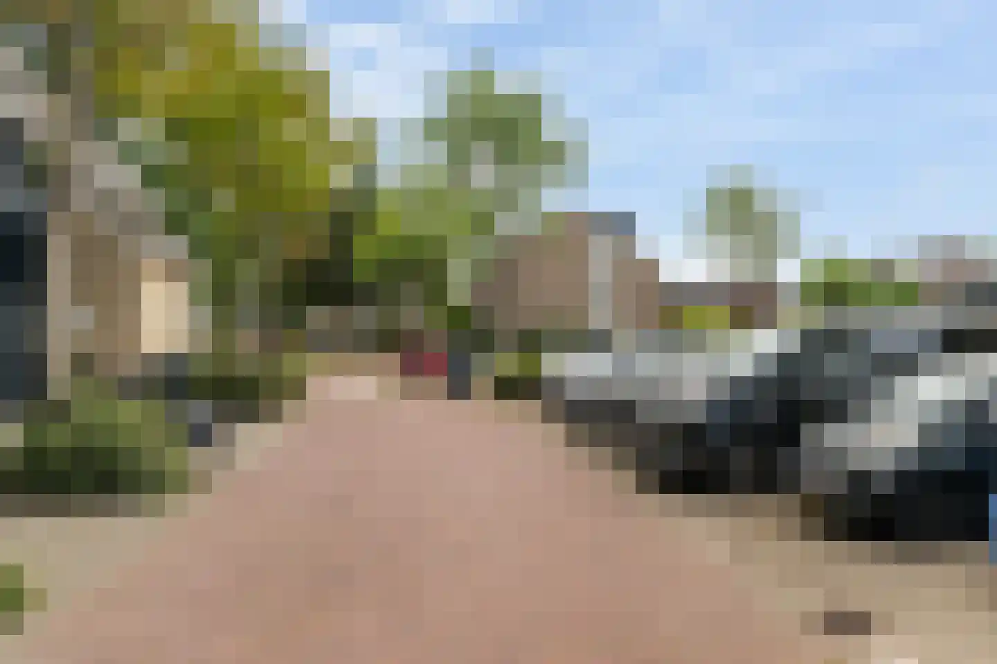 Groen van Prinstererstraat 8 Naaldwijk thumbnail 33