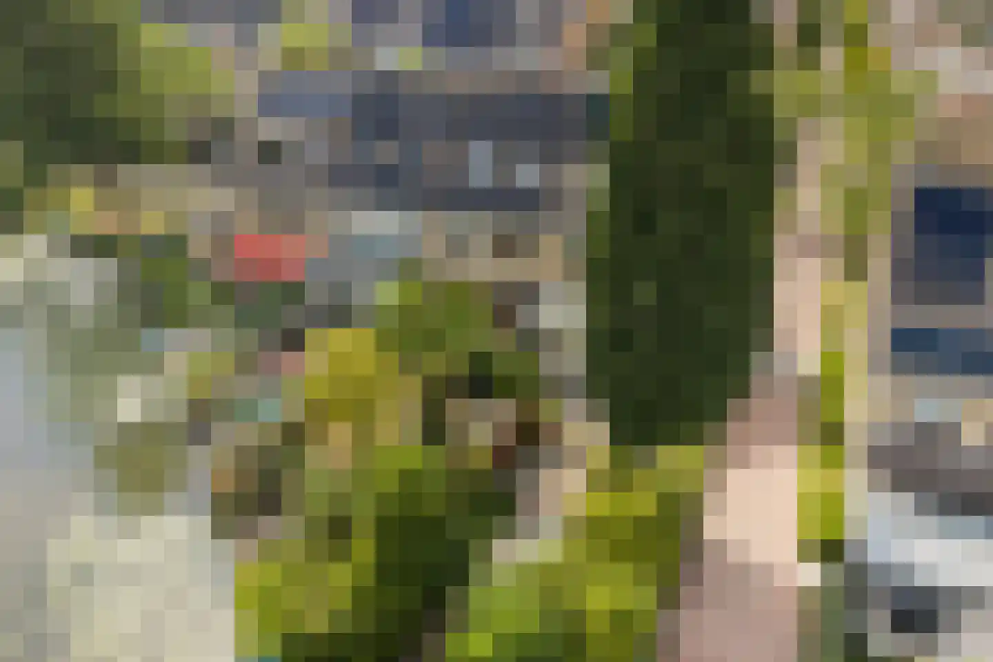 Groen van Prinstererstraat 8 Naaldwijk thumbnail 34