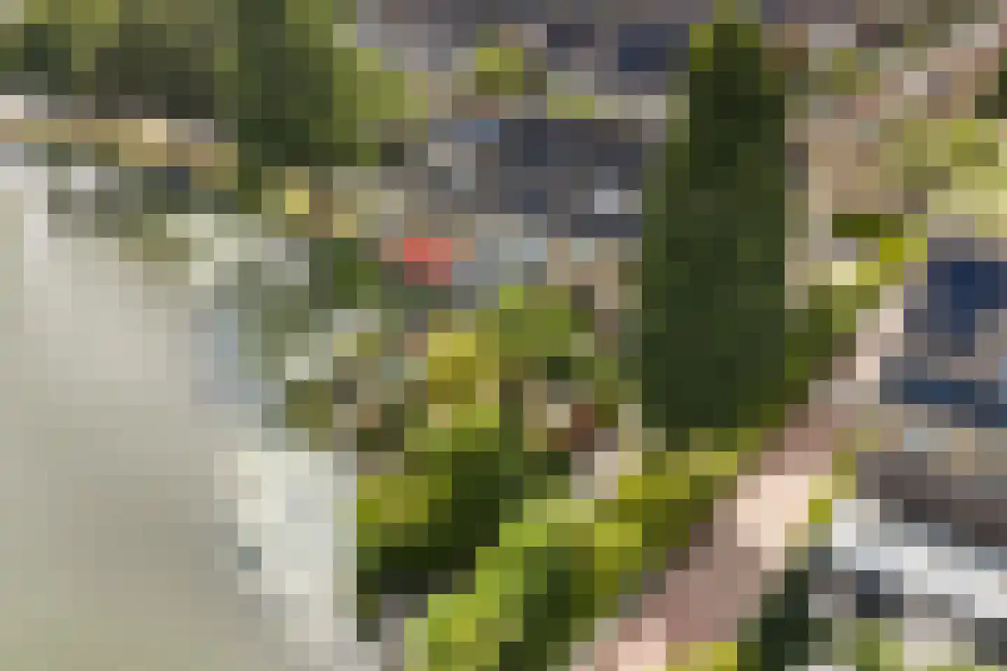 Groen van Prinstererstraat 8 Naaldwijk thumbnail 35