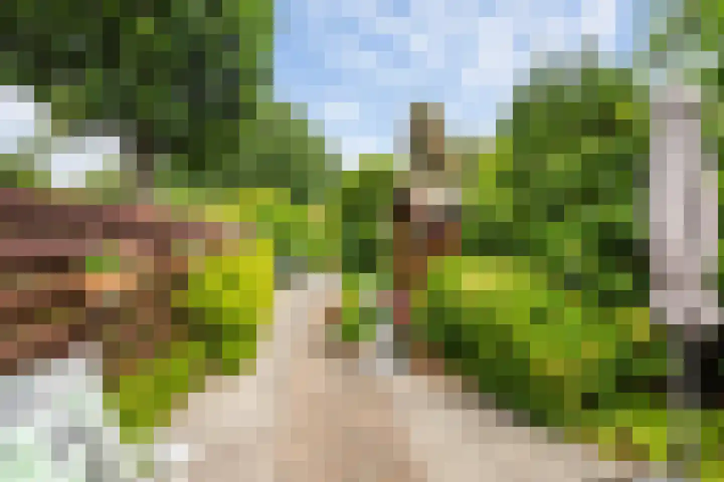 Groen van Prinstererstraat 8 Naaldwijk thumbnail 6