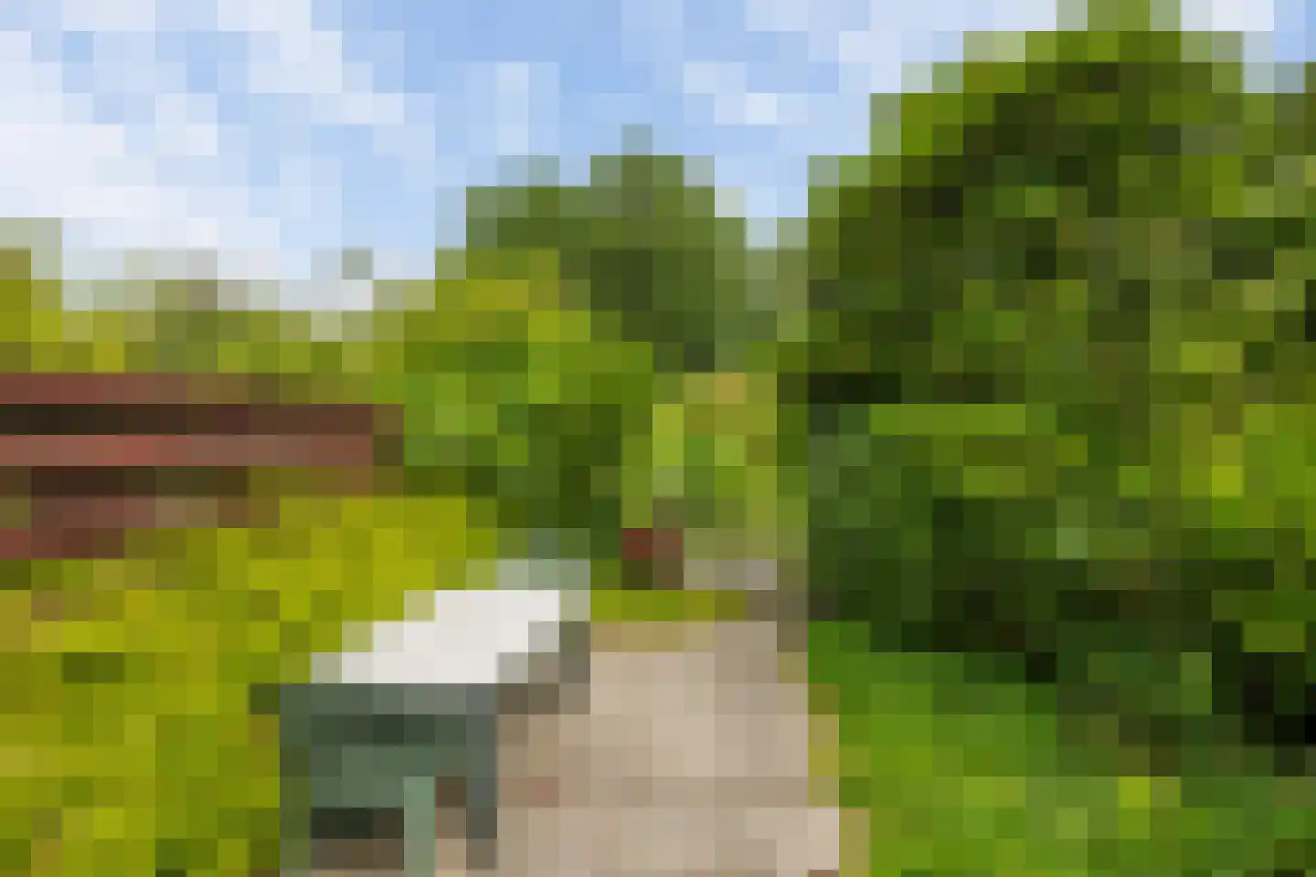 Groen van Prinstererstraat 8 Naaldwijk thumbnail 7