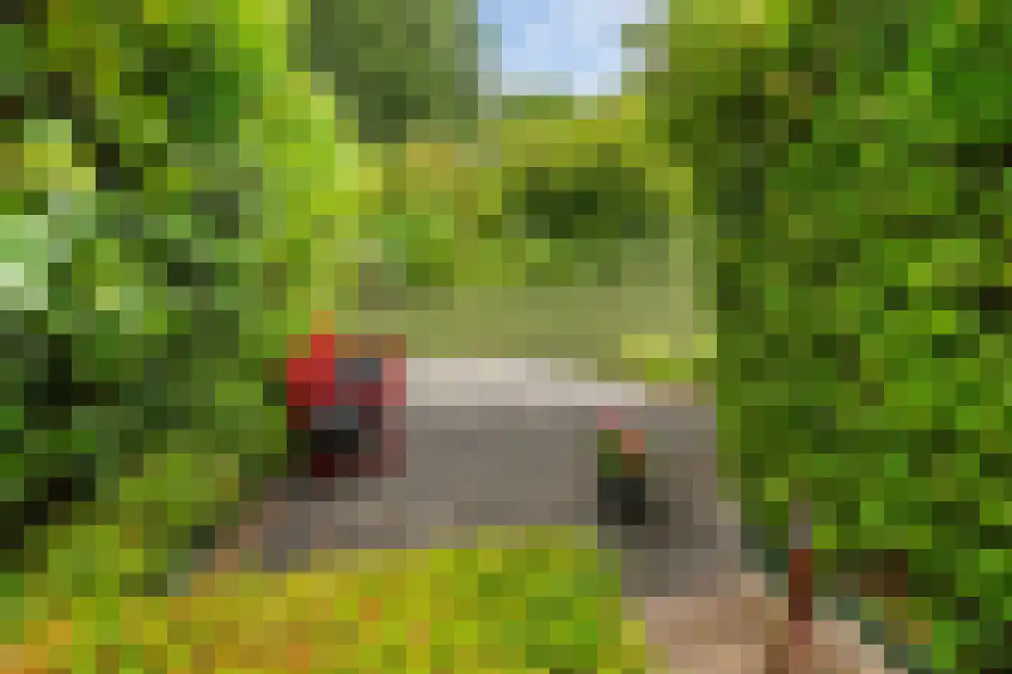 Groen van Prinstererstraat 8 Naaldwijk thumbnail 8