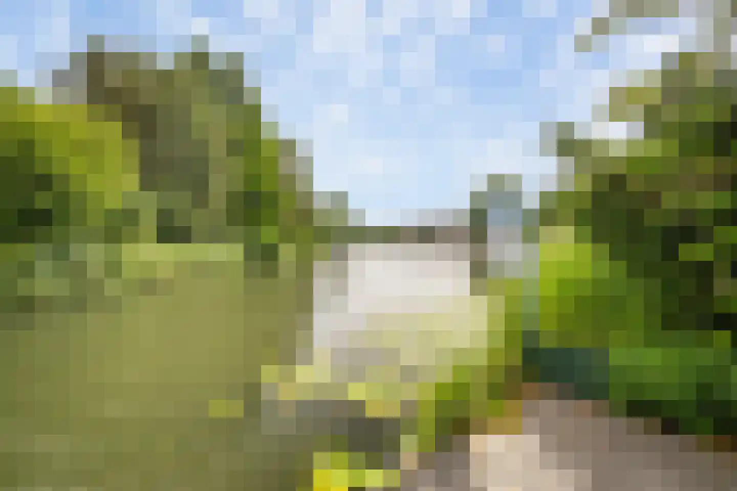 Groen van Prinstererstraat 8 Naaldwijk thumbnail 9