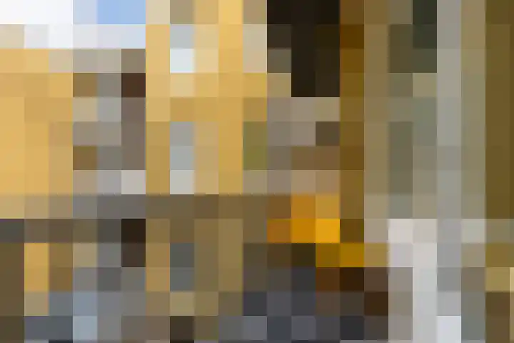 Groen van Prinstererstraat 80 3 Amsterdam thumbnail 16