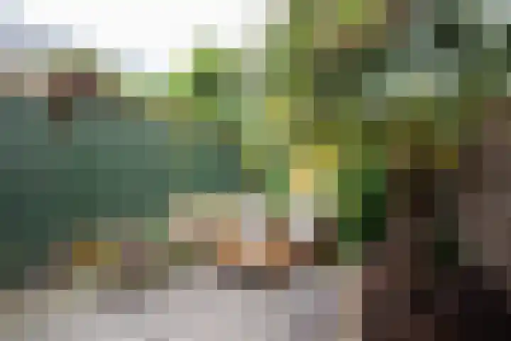 Groen van Prinstererstraat 80 3 Amsterdam thumbnail 33