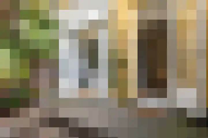 Groen van Prinstererstraat 80 3 Amsterdam thumbnail 36