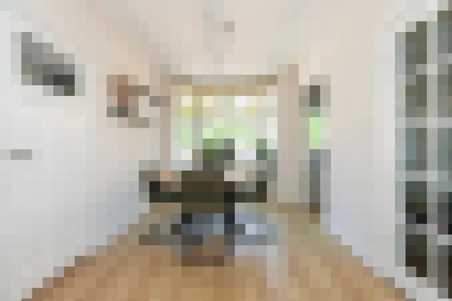 Groen van Prinstererstraat 82 Vlaardingen thumbnail 20