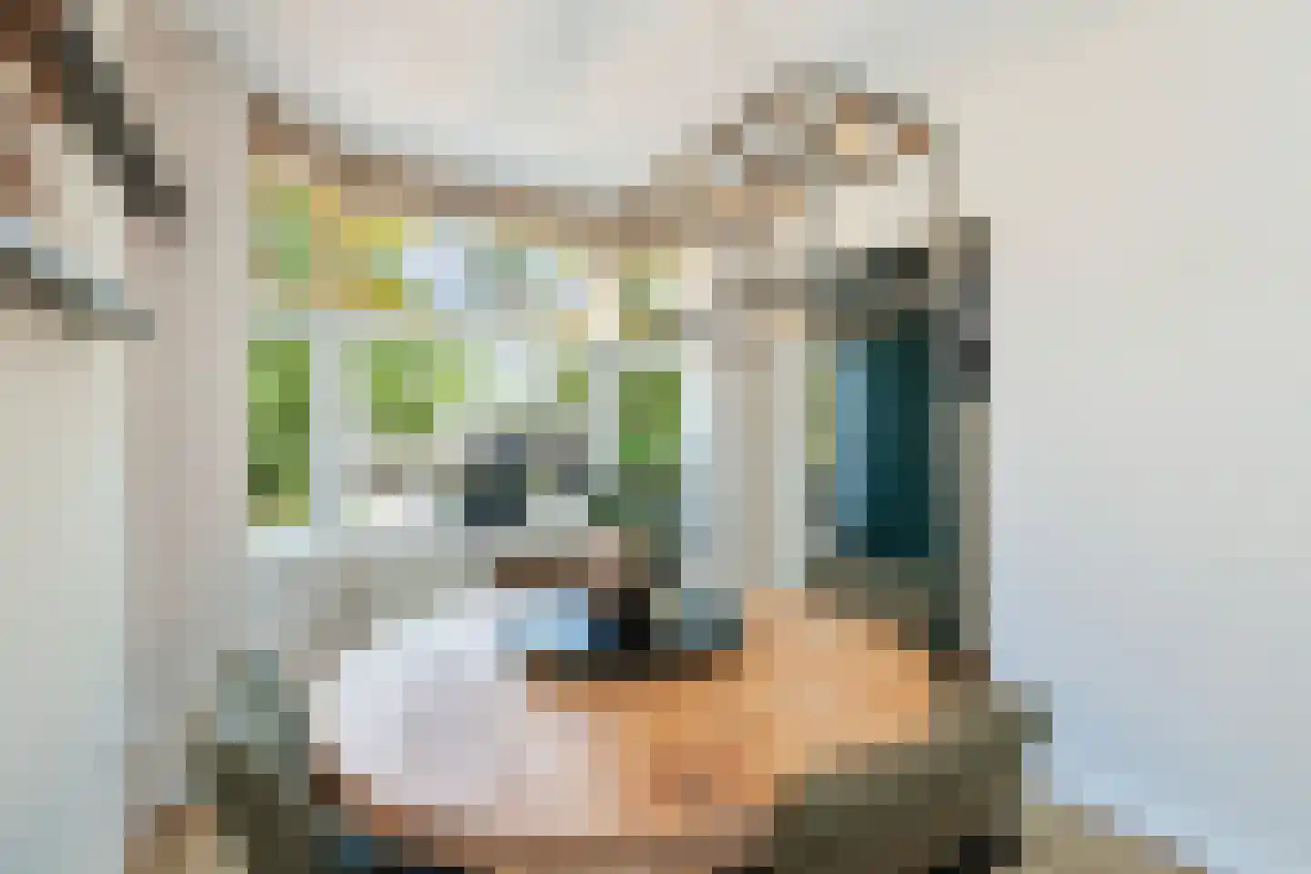 Groen van Prinstererstraat 82 Vlaardingen thumbnail 21