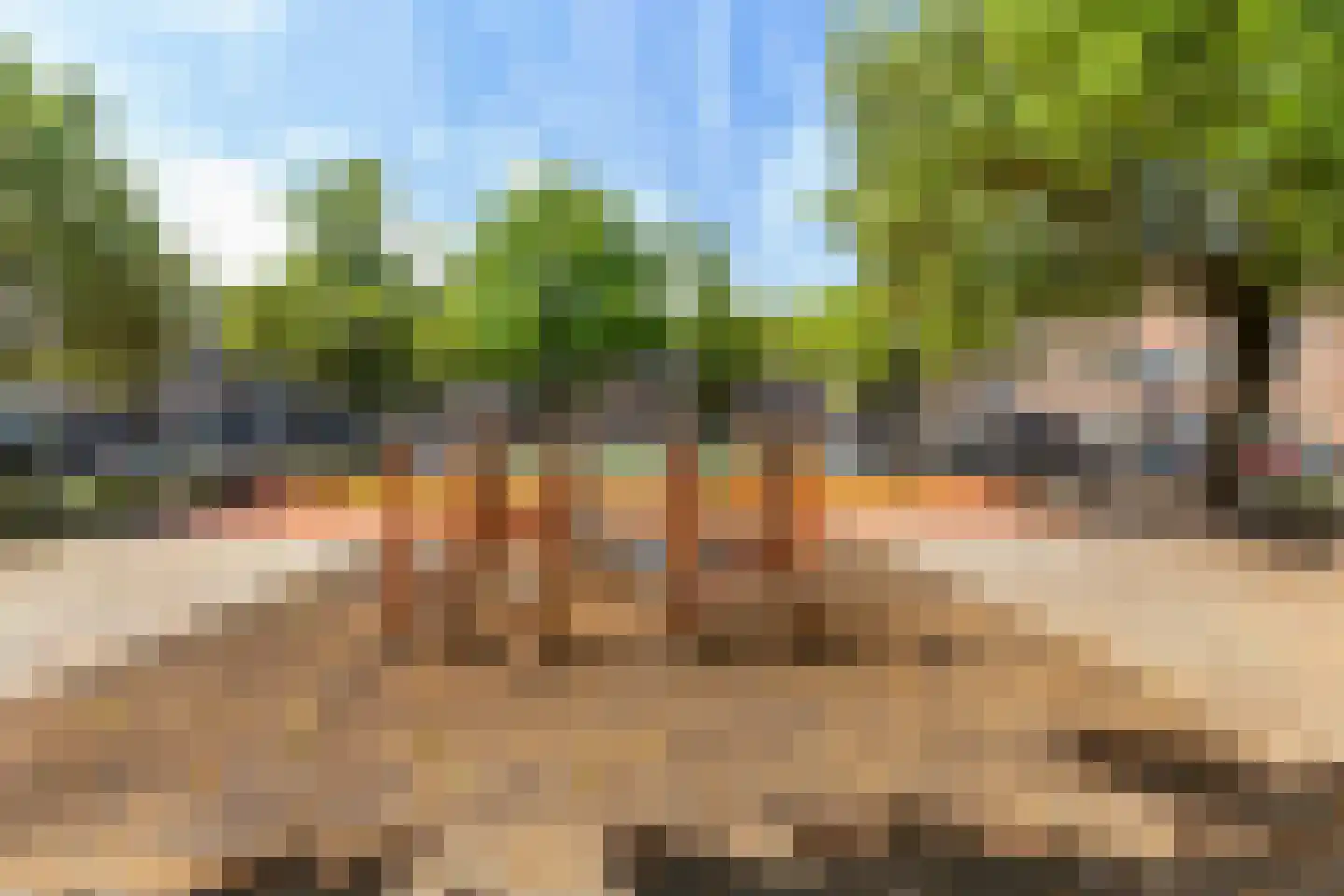 Groen van Prinstererstraat 82 Vlaardingen thumbnail 35