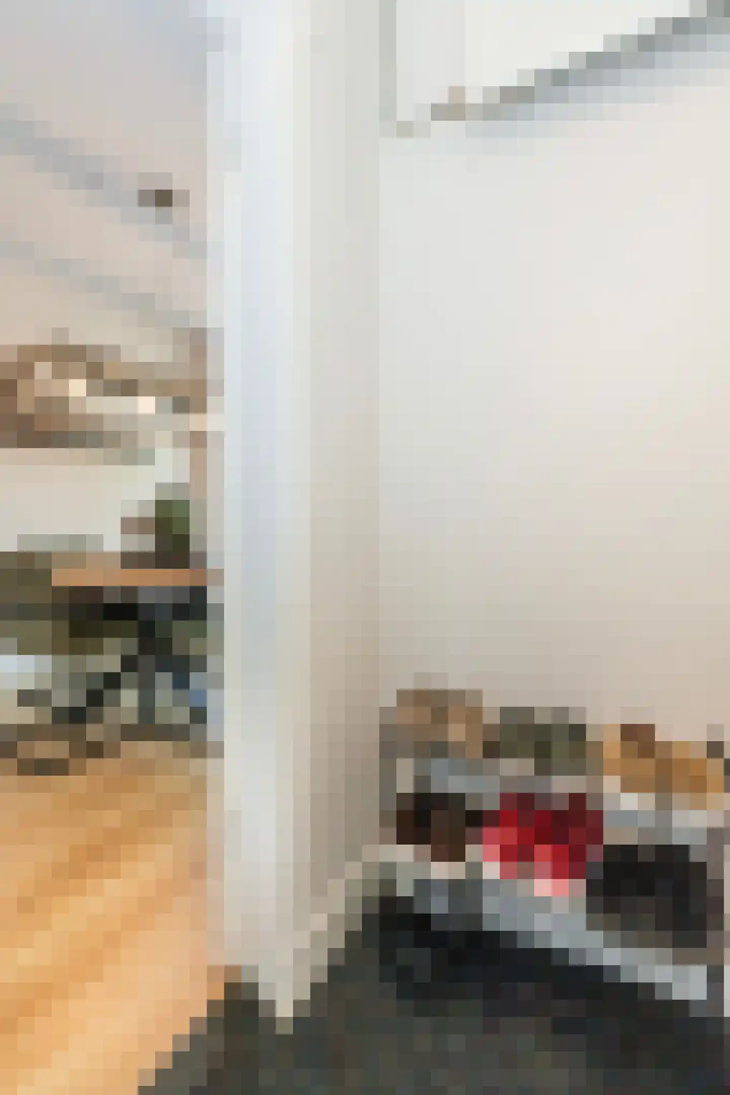 Groen van Prinstererstraat 82 Vlaardingen thumbnail 8