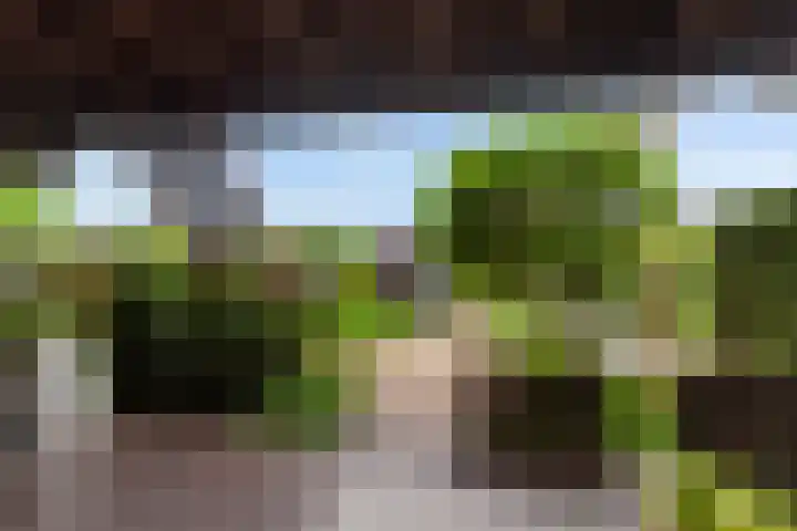 Groen van Prinstererstraat 89 Alblasserdam thumbnail 32