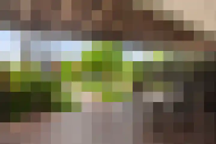 Groen van Prinstererstraat 89 Alblasserdam thumbnail 34