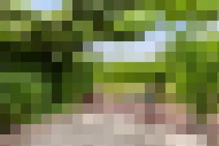Groen van Prinstererstraat 89 Alblasserdam thumbnail 37